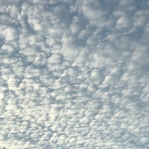 Meet your Posher, Misty